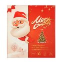 LAMPKI LED WISZĄCA DEKORACJA OKNA ŚWIĄTECZNA ANIOŁEK PRZYSSAWKI 49CM 10 LED