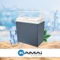 Lodówka samochodowa elektryczna 24L ICEGO, zasilanie 12-230V, niebieska